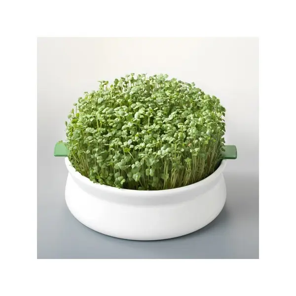 Vas de ceramica cu sita pentru germinare seminte mucilaginoase Germline