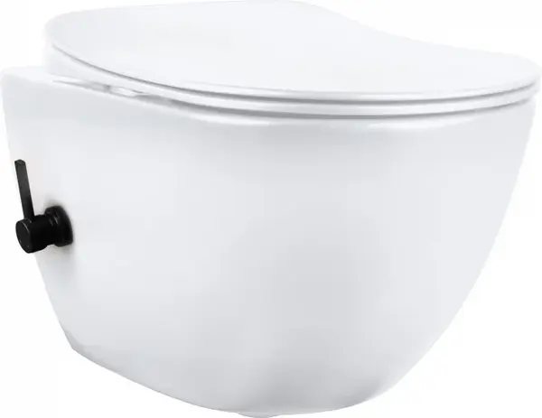 Vas de WC, cu functie de bideu - cu baterie neagra, Deate Poenia