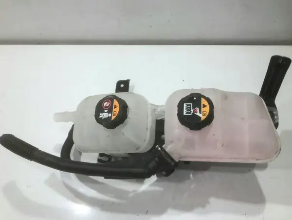 Vas expansiune 254R0-G1000 Kia Ceed 3 facelift (2021->) 1.5 t-gdi G4LH 160 cp
