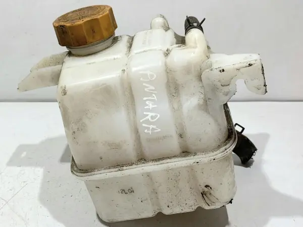 Vas expansiune 95025829 Opel Antara (2006-2010) 2.2 cdti LNQ