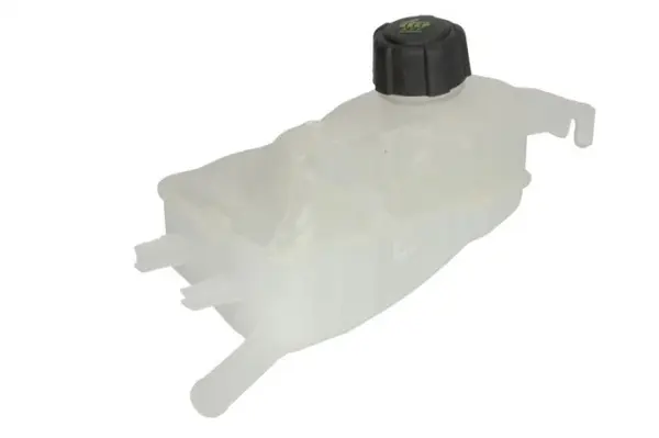 Vas expansiune racire (cu priza) potrivit RENAULT ESPACE IV, FLUENCE, GRAND SCENIC III, MEGANE, MEGANE III, SCENIC III 11.02-