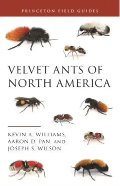 Velvet Ants of North America - Kevin Williams