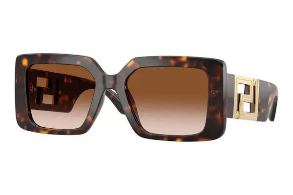 Versace VE4505U 108/13
