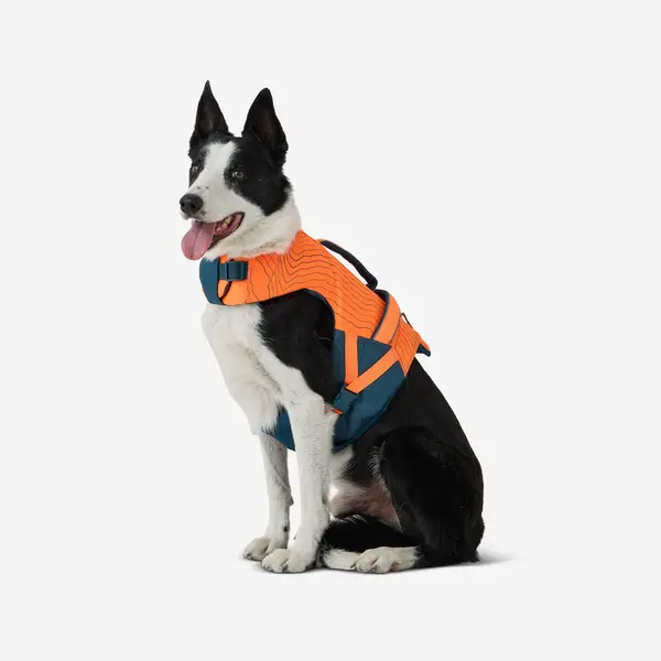 Vestă de salvare pentru câine