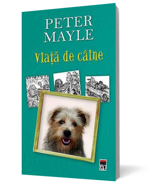 Viata de caine