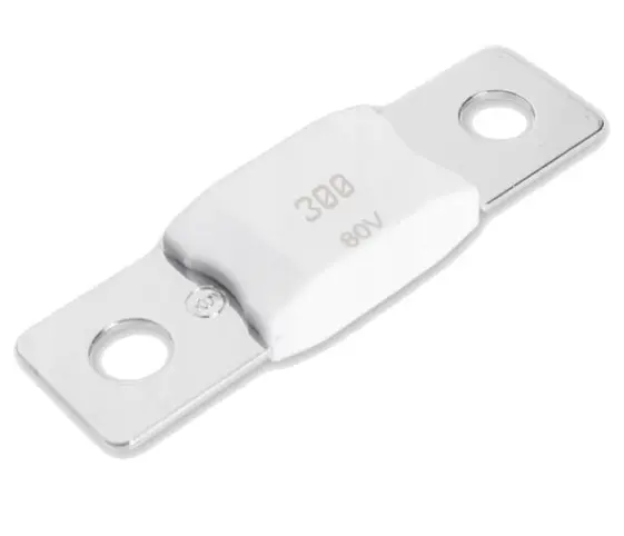 Victron Energy MEGA-fuse 300A 80V ceramic(5 pcs)