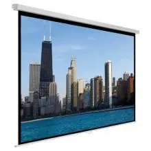 VIDIS Avtek Video PRO 200 (190 x 142.5) - 4:3 - alb mat