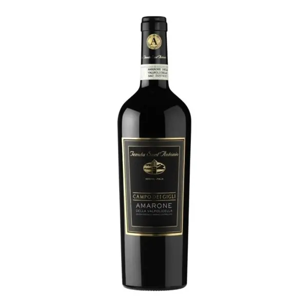 Vin Rosu Tenuta Sant'antonio Amarone "Campo Dei Gigli"