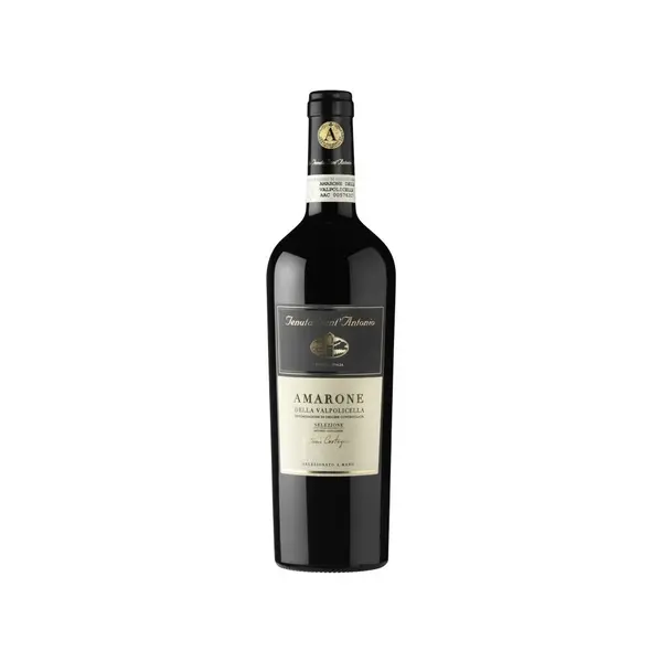 Vin Tenuta Sant Antonio Amarone Selezione Antonio Castegnedi 2015