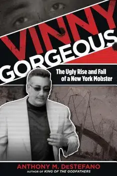 Vinny Gorgeous: The Ugly Rise PB, Paperback/Anthony M. DeStefano
