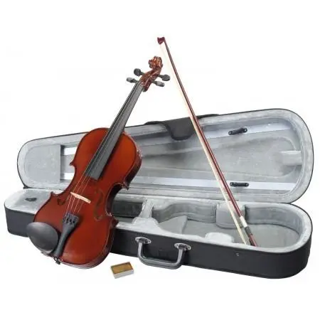 Vioara clasica din lemn 4 4, toc inclus