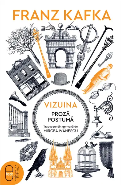 Vizuina (ebook)