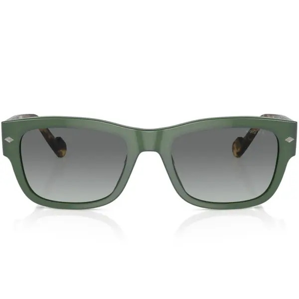 Vogue VO5530S 309211 55