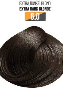 Vopsea Profesionala Fara Amoniac EVOQUE USA, Nuanta 6.0 Blond Extra Inchis - Cu Ulei de Argan si 12 Aminoacizi, 100 ml - Evoque