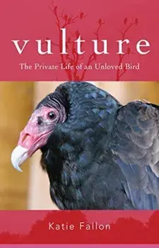 Vulture - The Private Life of an Unloved Bird, Paperback/Katie Fallon