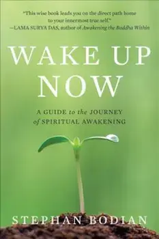 Wake Up Now, Paperback/Stephan Bodian