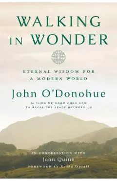 Walking in Wonder: Eternal Wisdom for a Modern World - John O'donohue