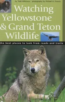 Watching Yellowstone & Grand Teton Wildlife, Paperback/Todd Wilkinson