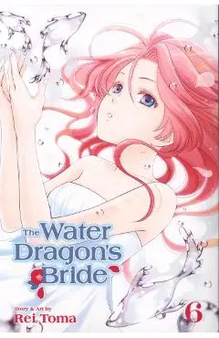 Water Dragon's Bride, Vol. 6 - Rei Toma