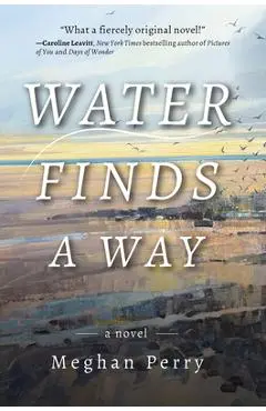 Water Finds a Way a Novel - Meghan Perry