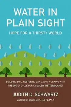 Water in Plain Sight: Hope for a Thirsty World, Paperback/Judith Schwartz