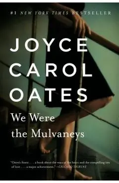 We Were the Mulvaneys - Joyce Carol Oates
