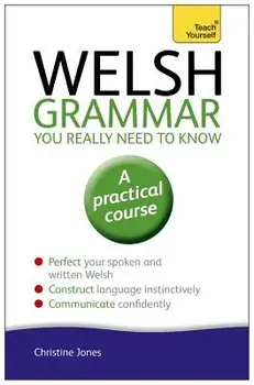 Welsh Grammar You Really Need to Know, Paperback/Christine Jones