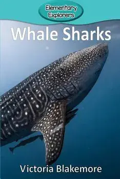 Whale Sharks, Paperback/Victoria Blakemore