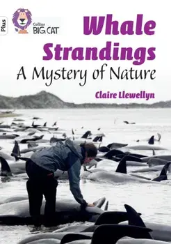 Whale Strandings: A Mystery of Nature. Band 10+/White Plus, Paperback/Claire Llewellyn