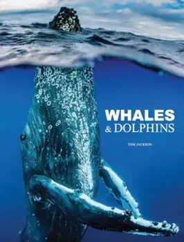 Whales & Dolphins, Hardback/Tom Jackson