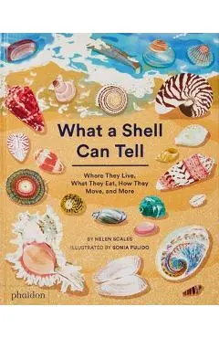 What a Shell Can Tell - Helen Scales
