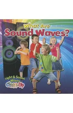 What Are Sound Waves? - Robin Johnson