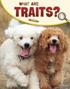 What Are Traits?, Paperback/***