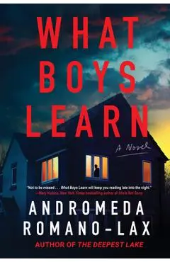 What Boys Learn - Andromeda Romano-lax