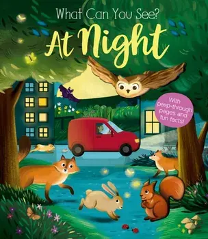 What Can You See At Night?, Board book/Kate Ware