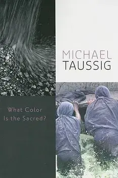 What Color Is the Sacred?, Paperback/Michael Taussig