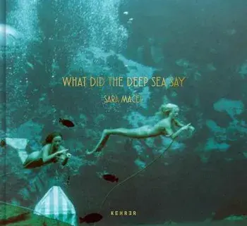 What Did The Deep Sea Say, Hardback/Sara Macel