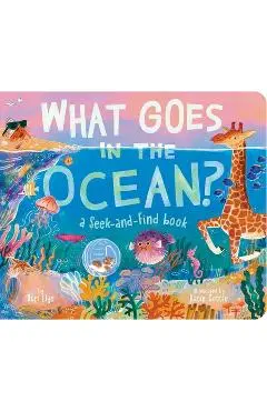 What Goes in the Ocean?: A Seek-And-Find Book - Dori Elys