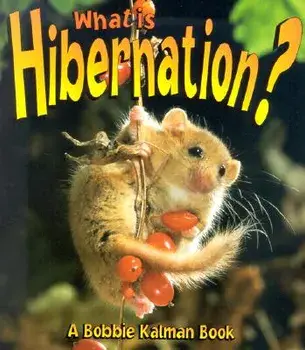 What is Hibernation?, Paperback/John Crossingham
