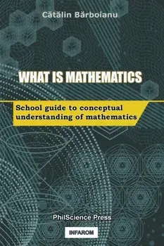 What is Mathematics: School Guide to Conceptual Understanding of Mathematics, Paperback/Catalin Barboianu