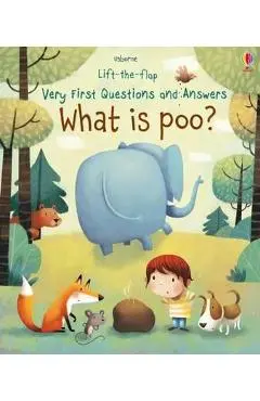 What is Poo?