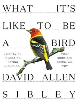What It's Like to Be a Bird: From Flying to Nesting, Eating to Singing--What Birds Are Doing, and Why, Hardcover/David Allen Sibley