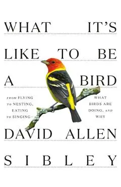 What It's Like to Be a Bird: From Flying to Nesting, Eating to Singing--What Birds Are Doing, and Why - David Allen Sibley