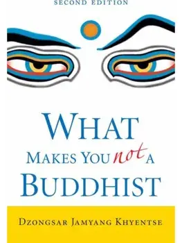 What Makes You Not a Buddhist, Paperback/Dzongsar Jamyang Khyentse