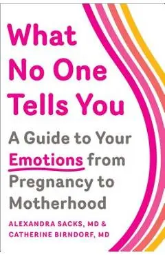 What No One Tells You: A Guide to Your Emotions from Pregnancy to Motherhood - Alexandra Sacks
