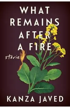 What Remains After a Fire: Stories - Kanza Javed