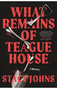 What Remains of Teague House: A Mystery - Stacy Johns