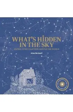 What's Hidden in the Sky?: Animal Constellations Around the World (a Shine-A-Light Book) - Bestard Aina
