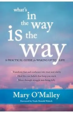 What's in the Way Is the Way: A Practical Guide for Waking Up to Life - Mary O'malley