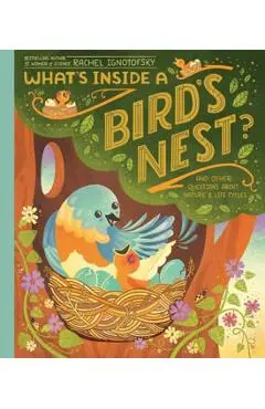 What's Inside a Bird's Nest?: And Other Questions about Nature & Life Cycles - Rachel Ignotofsky